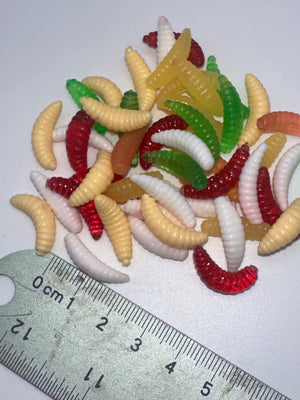 Wax Worms 10 pack